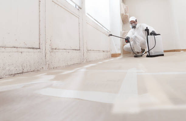24/7 Emergency Mold Remediation experts in Harrisburg, PA